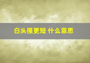 白头搔更短 什么意思